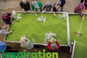 Inspiration from Abroad peas