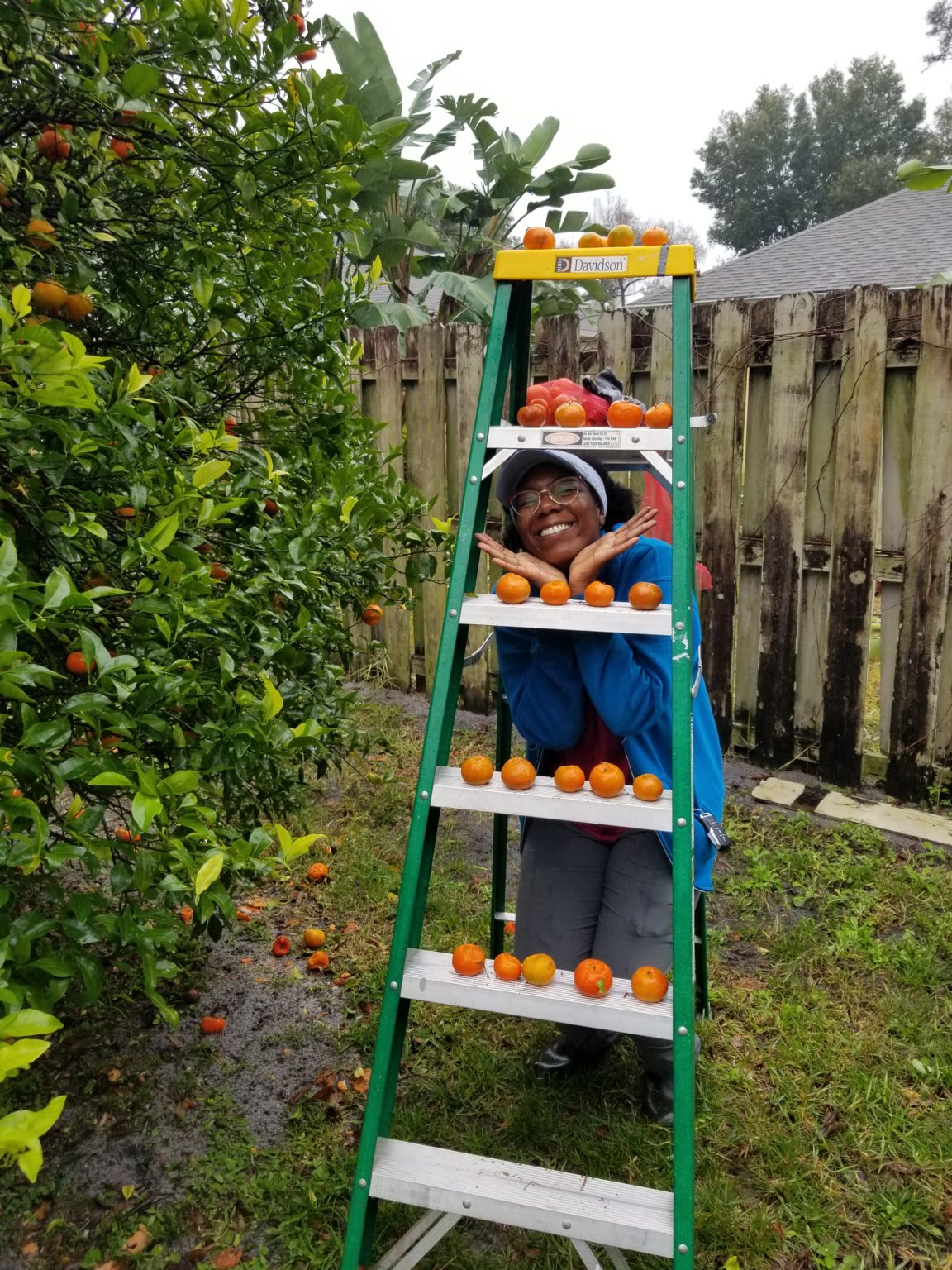 harvest-against-hunger-produce-recovery-and-gleaning-program