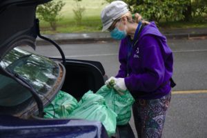 South Seattle College staff woman wearing gloves and a surgical mask ties up green grocery bags of vegetables in a car trunk