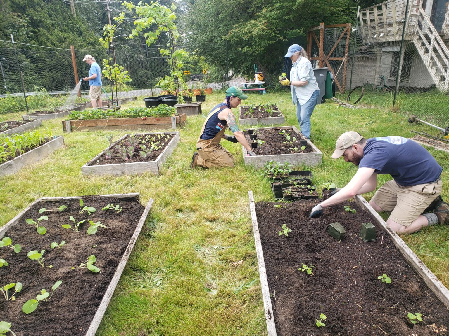 Community Gardening in Kitsap County Harvest Against Hunger