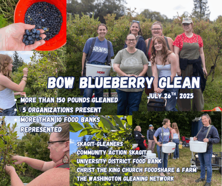 7-26-25 Bow Blueberry Glean (Facebook Post) (1)
