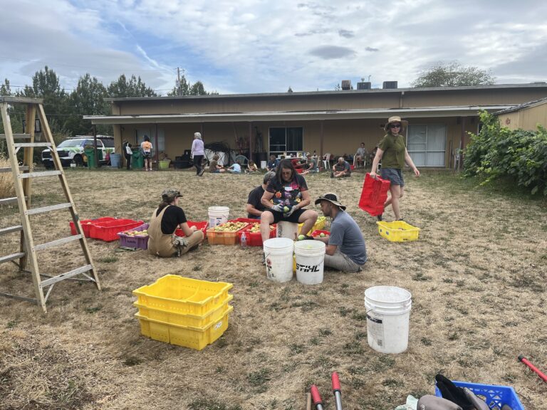 Volunteers from the Jewish Federation of Greater Portland at the Parkrose Community Orchard.