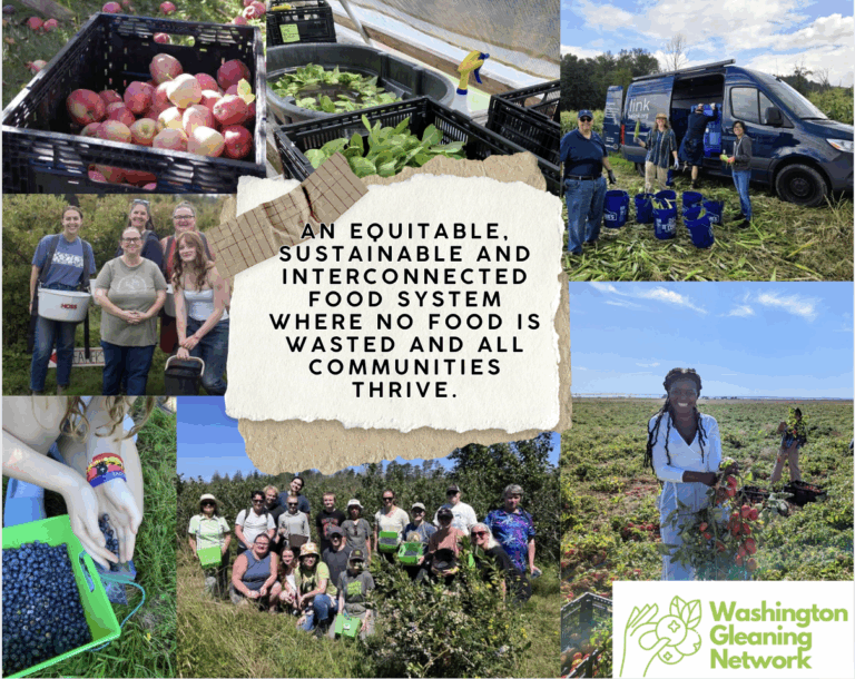 An equitable, sustainable and interconnected food system where no food is wasted and all communities thrive.