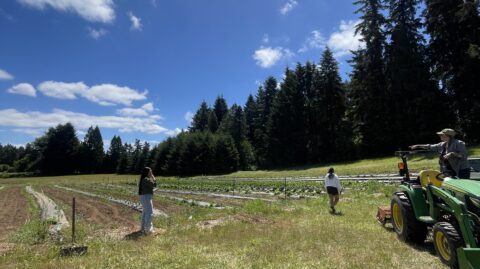 crystal picture from a farm