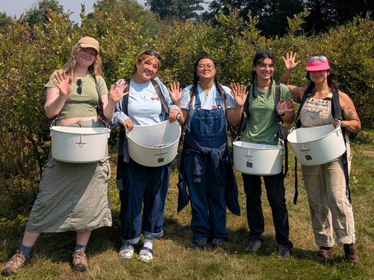 Oxbow Glean 2026 (1)
