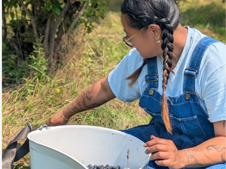 Oxbow Glean 2026 (2)