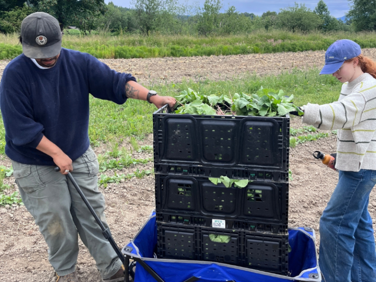 Oxbow Glean 2026 (3)