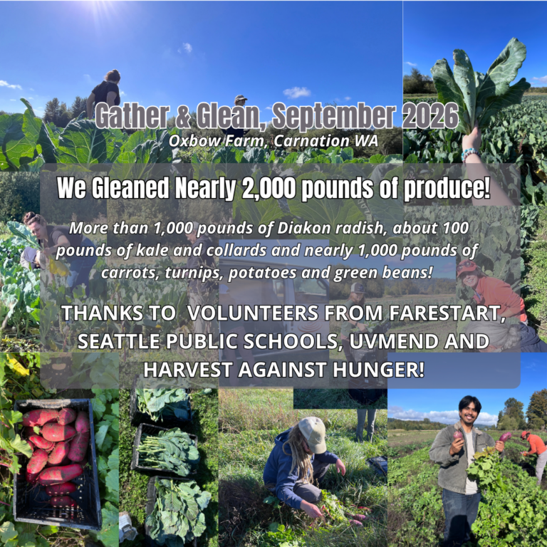 gather and glean 2026 (1)